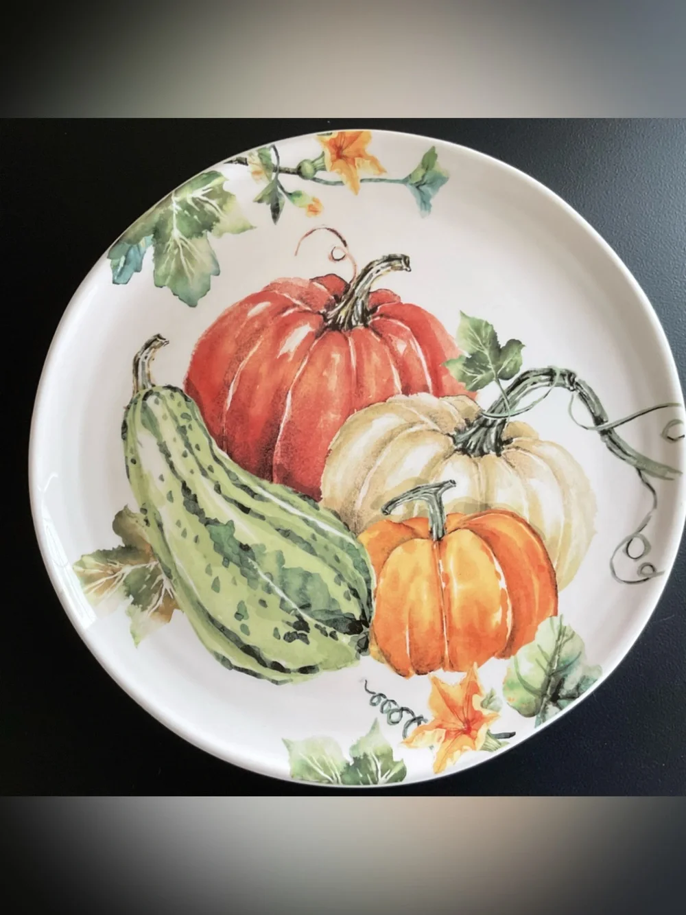 Bico Pumpkins & Gourd Autumn Harvest Ceramic 11” Dinner Plates, Set of 4